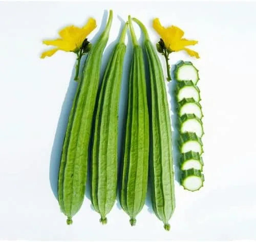 The Rike 20 Semillas Luffa Acutangula Seeds Angulada Luffa Ridge Gourd Turai Chinese Okra Plato Paño Calabaza, Calabaza Estriada, Muop Huong