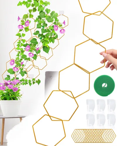 18 piezas de enrejado de cadena para plantas trepadoras, accesorios para plantas de interior en maceta para Hoya, Ivy, Monstera, enrejado de pared