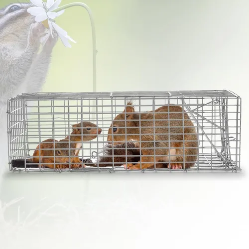 Miniatura 6 de Qualirey 1 trampa para ardillas humanitarias, resistente para animales vivos, captura y liberación, trampa para ratas para animales pequeños al aire