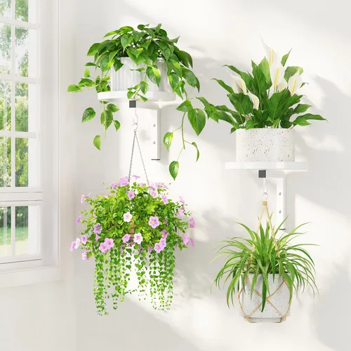 Miniatura 9 de LASZOLA 2 piezas de estantes de pared para plantas con ganchos para macetas de interior, soportes flotantes de ventana de metal resistente para Negro