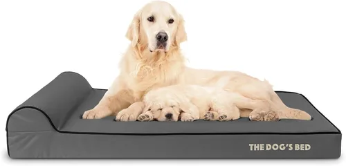 Miniatura 27 de The Dog's Bed - Cama Ortopédica para Perros con Reposacabezas XL Negra de Felpa, Espuma Viscoelástica, Alivio del Dolor para Artritis, Displasia