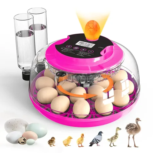 Incubadora para incubar huevos, capacidad de 18 huevos, incubadoras con ovoscopio, girador automático de huevos, control de temperatura y humedad,