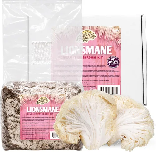 Kit de hongos gourmet de melena de león - Bolsa de cultivo para hongos - Cultiva hongos melena de león premium en casa - Deliciosos y 100% naturales