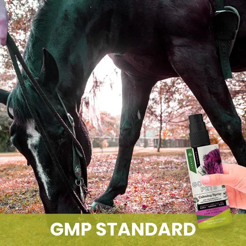 Miniatura 6 de Aerosol calmante holístico natural derivado para la ansiedad para mascotas: proporciona alivio del estrés: recomendado por veterinarios, fabricado