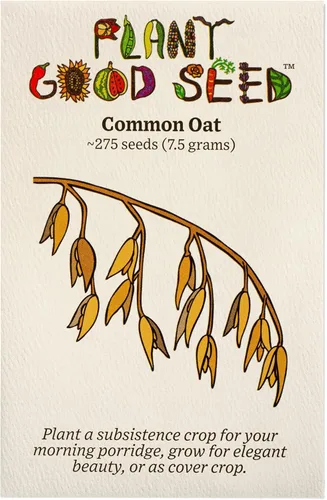 Miniatura 5 de Plant Good Seed Semillas orgánicas de trigo de primavera de águila negra, paquete de 175, semillas tradicionales para plantar granos, verduras