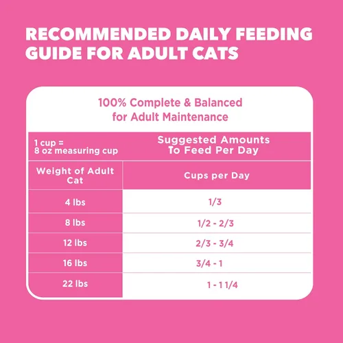 Miniatura 9 de Iams IAMS PROACTIVE HEALTH - Alimento seco para gatos adultos para digestión sensible y piel con pavo real, croquetas para gatos, bolsa de 3 libras