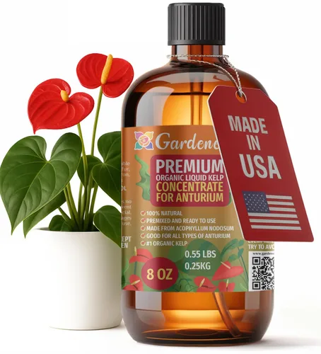 Miniatura 85 de GARDENERA Superalimento orgánico prémium de algas marinas y algas marinas para plantas AGLAONEMA, 8 onzas, concentrado de fertilizante líquido