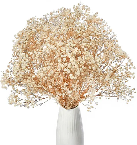 Miniatura 9 de Flores secas para el aliento del bebé, flores naturales secas de 17 pulgadas, a granel con 3000 brotes, gypsophila seca real para bodas, fiestas