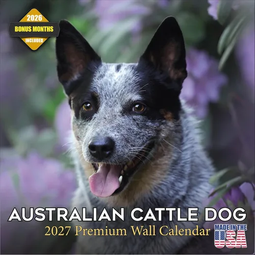 Miniatura 166 de Calendario 2025 2026 de cachorros Cocker Spaniel - Calendario mensual de pared de raza de perro - 12" x 24" abierto - Papel grueso sin sangrado