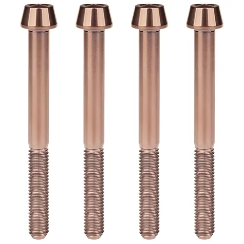 Miniatura 51 de Titanio Ti M6 x 10 16 18 20 25 30 35 40 45 50 55 60 2.559 in Allen - Tornillos hexagonales de 2.559 in, tornillos cónicos, paquete de 4