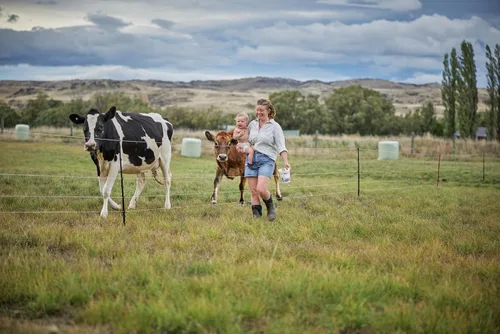 Miniatura 7 de Gallagher Smart Fence 2 Valla eléctrica portátil para contención de ganado Cercado temporal de campo de instalación rápida 328 pies de cercado