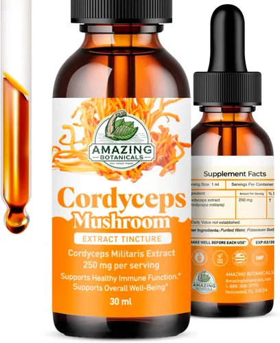 Cordyceps - Extracto de hongos fructíferos - 250 mg por porción - Suplemento líquido de extracto dual - Apoyo de energía y resistencia - Vegano, sin