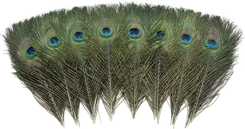 Miniatura 2 de Ballinger 6 PCS Plumas de Ojo de Pavo Real Naturales Grandes de 10-12 pulgadas para Manualidades DIY, Decoraciones de Boda y Festivas