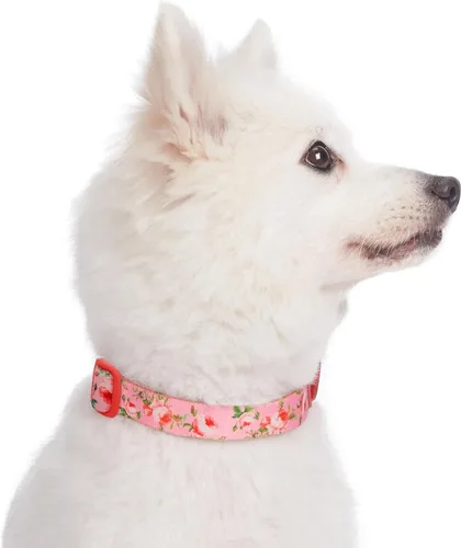 Miniatura 9 de Collar para Perro Blueberry Pet - Collar Floral Rosa Rosa Bebé para Cachorros, Collares Ajustables para Perros Pequeños, Collar para Perro Pequeño