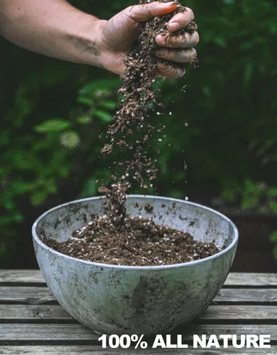 Miniatura 2 de Mezcla de tierra para plantas carnívoras, bolsa de tamaño pequeño de 1 cuarto de galón para trasplantar, todos los ingredientes naturales ideales