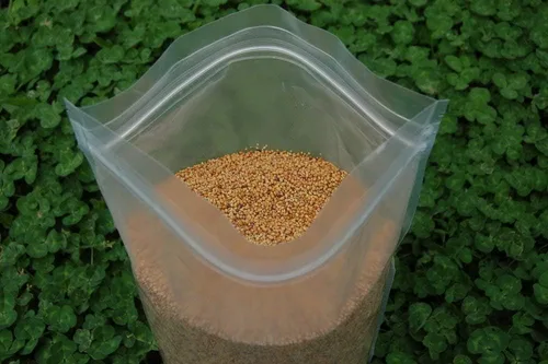 Miniatura 3 de Tri-Clover de Eretz - Mezcla de tres partes de tréboles que proporcionan belleza, cobertura y atractivo natural. Sin recubrimientos ni rellenos