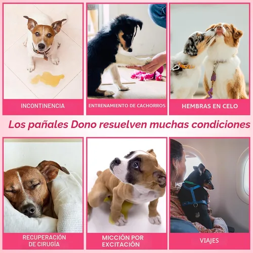 Miniatura 6 de Dono - Pañales desechables para mascotas hembras, súper absorbentes, suaves, con calentamiento y orina, pañales para perritas, incluye 20 pañales