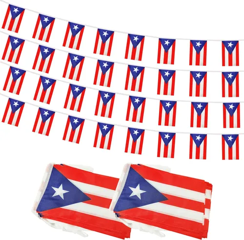 Miniatura 8 de Bandera de Cuerda Argentina de 100 Pies, 76 Piezas Bandera Estandarte Argentina, Pequeñas Mini Banderas del Mundo para Eventos Deportivos