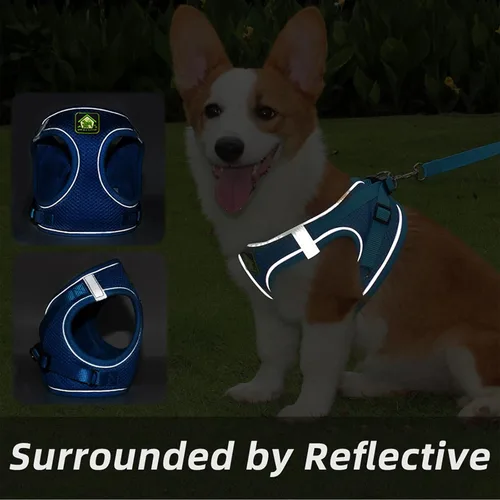 Miniatura 4 de Juego de arnés y correa para perros pequeños, arnés reflectante ajustable sin tirones, arnés transpirable suave para cachorros, perros pequeños