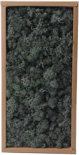 Musgo artesanal de reno preservado, 17.6 onzas, verde natural, kit de bricolaje para terrarios, arte de pared y decoración
