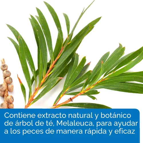 Miniatura 5 de API MELAFIX - Remedio para infecciones bacterianas de peces de agua dulce, botella de 4 onzas