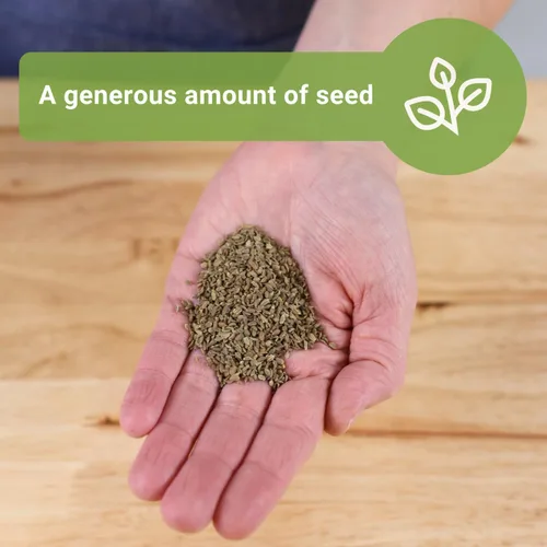 Miniatura 3 de Sow Right Seeds - Semillas de zanahoria Scarlet Nantes a granel para plantar - 0.25 oz, 5000 semillas - Paquete jumbo de reliquia sin OMG