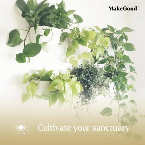 Miniatura 6 de Make Good Virgo - Macetas de pared (anchas, juego de 6), fáciles de regar e instalar, ligeras, diseña tu propio jardín vertical, plástico de melamina