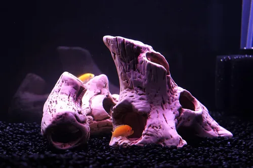 Miniatura 4 de ALEGI Agujero de tocón de árbol de acuario para juguetes de peces betta, piedra cíclida de piedra de piedra Betta Fish Accesorios de 10, 20 galones