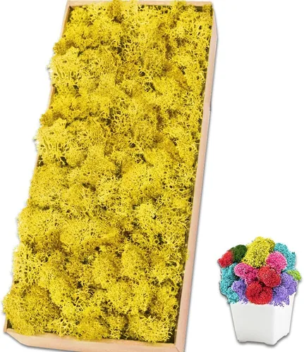 Miniatura 25 de Musgo de reno amarillo preservado de 3.5 onzas para plantas en maceta, decoración artesanal para arte de pared, musgo falso para decoración