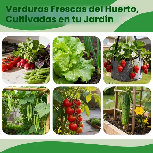 Miniatura 6 de Paquete variado de 45 semillas de vegetales tradicionales – Más de 17,000 semillas de jardín para plantar en interiores y exteriores – Kit de bóveda