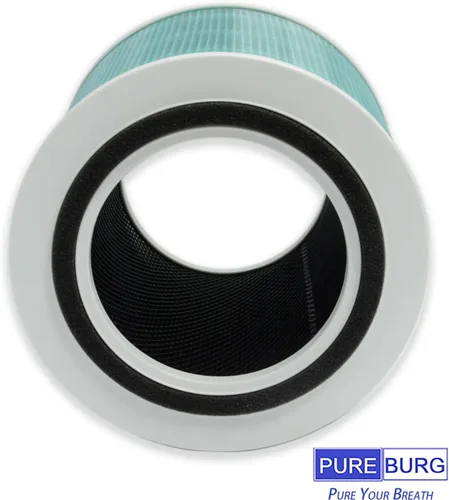 Miniatura 3 de PUREBURG Filtros de repuesto compatibles con TOPPIN Comfy Air Bridge 2 TPAP003 purificador de aire, 2 unidades H13 HEPA de carbón activado