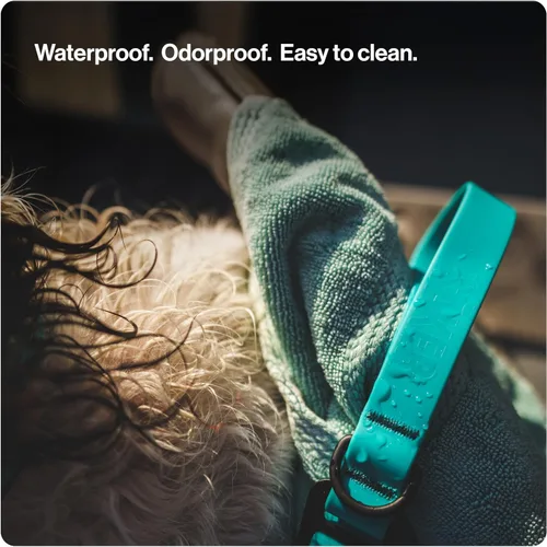 Miniatura 2 de Säker Kelp™ Correa Impermeable para Perros – Resistente, A Prueba de Olores, Correa para Perros Ajustable de 4 a 6 pies de Largo con Mosquetón