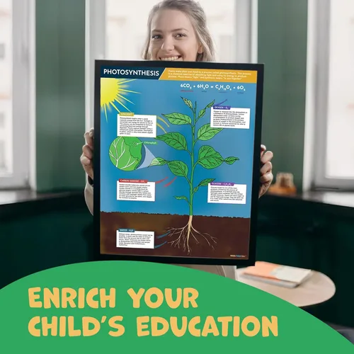 Miniatura 6 de Hubble Bubble Kids Carteles de ciencia para decoración de aulas: 4 carteles de biología incluyen póster de ADN, fotosíntesis, células vegetales