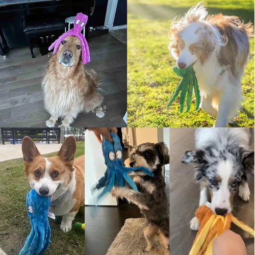 Miniatura 7 de HGB Juguetes chirriantes para perros, paquete de 2 juguetes para masticar sin relleno, pulpo arrugado para cachorros, perros pequeños, medianos
