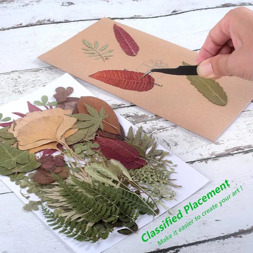 Miniatura 3 de 100 piezas de hojas verdes prensadas secas reales, herbario de plantas naturales para bricolaje, moldes de resina, fabricación de joyas y Verde-100