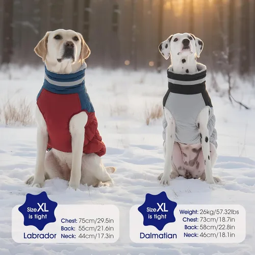 Miniatura 8 de FUAMEY - Chaqueta de invierno para perro, chaleco acolchado con arnés, ropa cálida para mascotas, abrigo con cremallera, impermeable, para perros