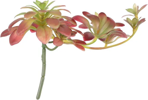 FAVOMOTO Púas de suculentas artificiales de 10.6 in, sin maceta, plantas suculentas falsas para arreglos florales, decoración del hogar, plantas