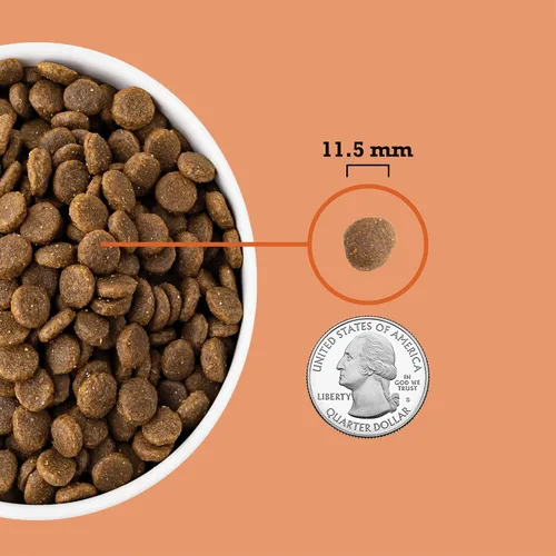 Miniatura 5 de ACANA - Comida seca para perros sin grano, receta para cachorros, bolsa de 25 libras
