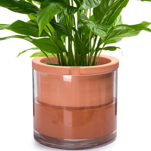 Miniatura 18 de Maceta auto-regante Phoenix Vine de 6 pulgadas, diseño en terracota blanca para plantas, maceta cilíndrica de terracota interior con jarrón de Blanco