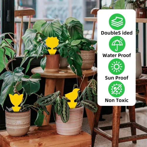 Miniatura 6 de 72 piezas de trampas adhesivas clásicas para mosquitos del hongo (plantas), insectos voladores, mosca blanca y mosca, trampas adhesivas