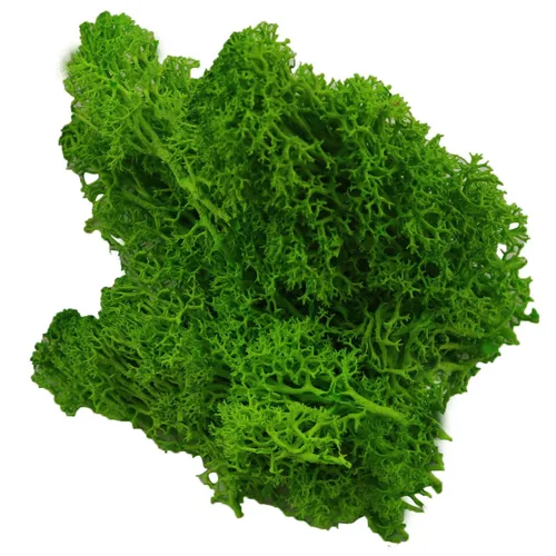 Miniatura 3 de XGNG Plantas de musgo preservado de 3.53 onzas de musgo de reno rosa, decoración de musgo, musgo verde para manualidades, musgo para plantas
