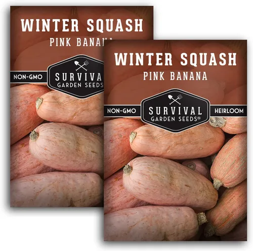 Semillas de calabaza de invierno de plátano rosa para plantar – Semillas de vegetales tradicionales sin OGM – Extra grande, alto rendimiento, fácil