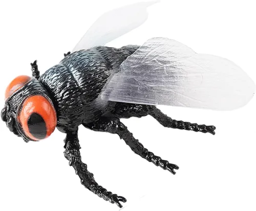 Figura de mosca grande – Juguete de insecto realista hueco para niños – Juguete educativo de insectos para clase de ciencias y exhibición