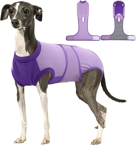 Miniatura 19 de Kuoser Traje de recuperación para perros, traje suave de esterilización para perros para recuperación de cirugía femenina, traje de recuperación