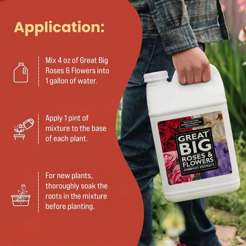 Miniatura 3 de Great Big Roses - Potenciador de fertilizante de suelo y rosas para cultivar las mejores rosas y flores; extracto de compost de alimento para rosas
