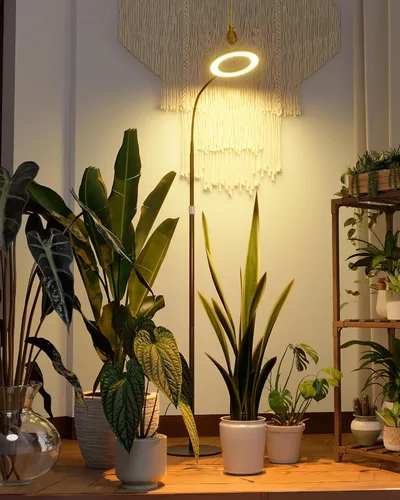 Bamworld Luces de cultivo para plantas de interior, luces de plantas de espectro completo para cultivo en interiores, lámpara de cultivo de piso