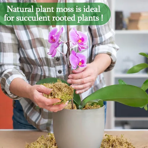 Miniatura 7 de Legigo 100 g de musgo natural esfagno para plantas, mezcla para macetas de orquídea de fibra larga 4QT, musgo esfagno seco para plantas