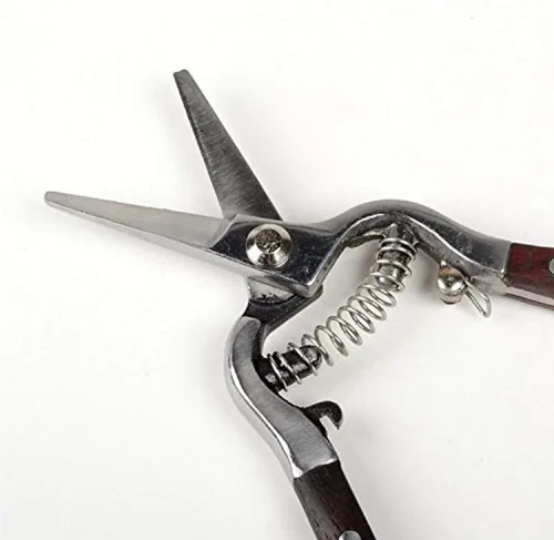 Miniatura 2 de Voyager Tools Acero inoxidable 8 "Cizalla de poda de uva con mango de madera, tijeras de podar con resorte