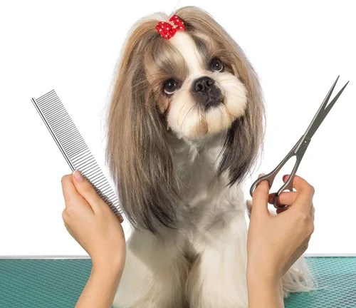 Miniatura 5 de Peines de perro para aseo, peine de metal para gatos para eliminar enredos y nudos, herramienta profesional de aseo para perros de pelo largo, gato