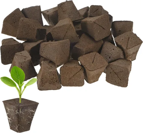 M METERXITY Paquete de 20 esponjas de cultivo, 1.7 x 0.8 x 1.8 pulgadas, esponjas de repuesto para crecimiento de raíces, vainas de semillas para